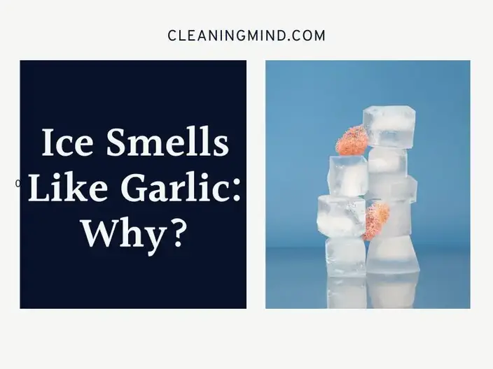 Ice Smells Like Garlic
