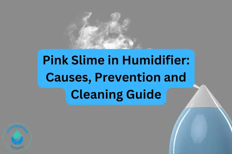Pink Slime in Humidifier