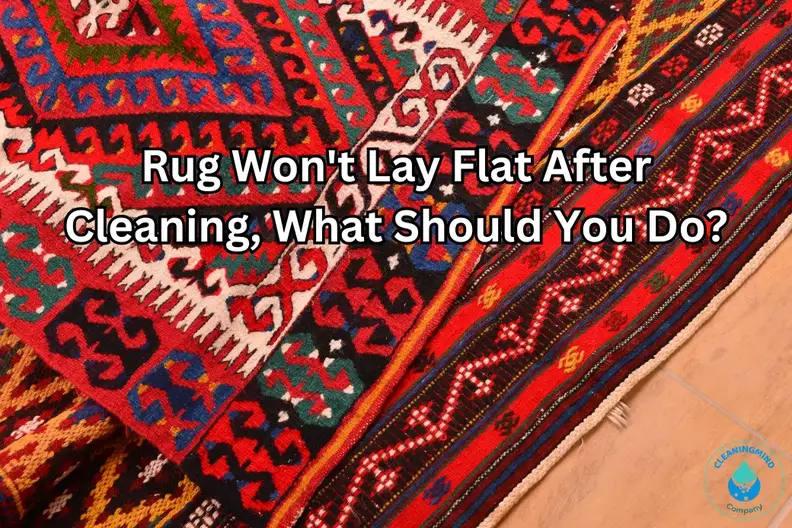Rug Won't Lay Flat After Cleaning, What Should You Do?