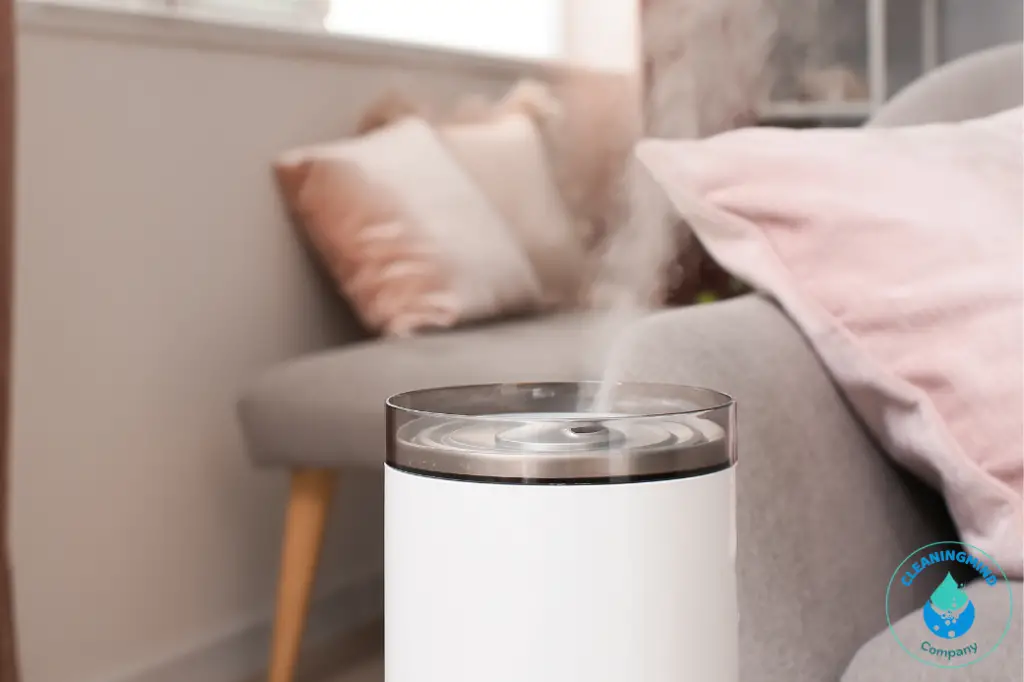Pink Slime in Humidifier: Causes, Prevention and Cleaning Guide
