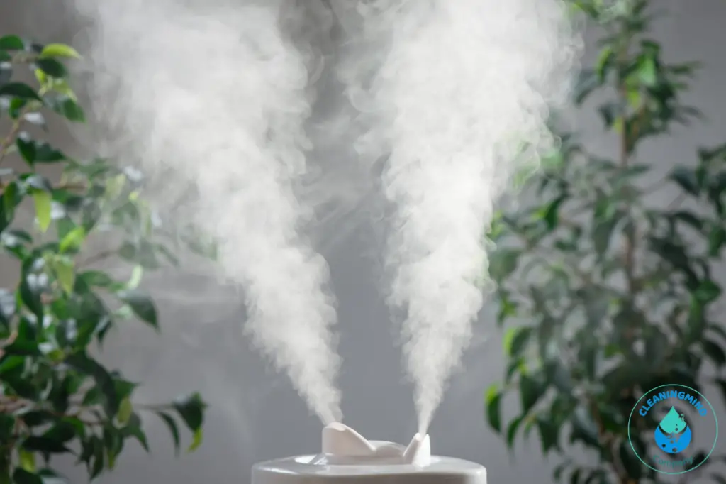 Pink Slime in Humidifier: Causes, Prevention and Cleaning Guide