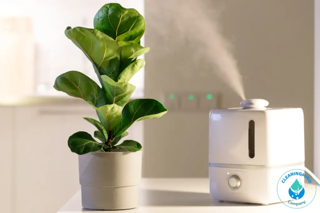 Pink Slime in Humidifier: Causes, Prevention and Cleaning Guide